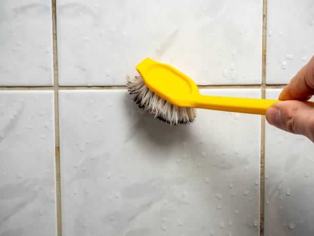 Water Damage Restoration in Olivet, MI