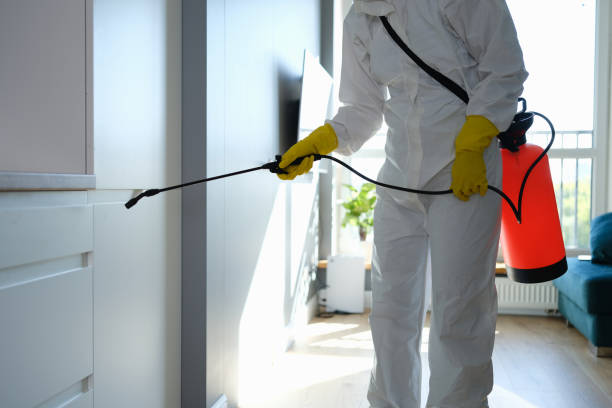 Best Emergency Mold Removal  in Olivet, MI