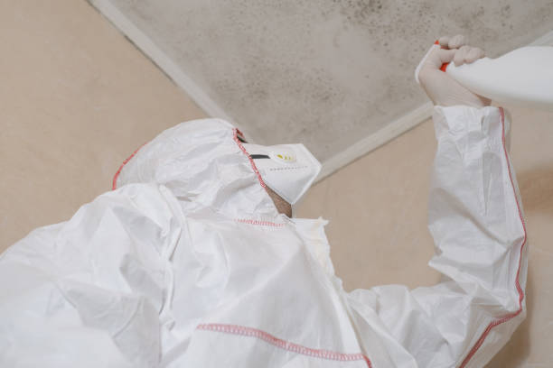 Best Certified Mold Removal  in Olivet, MI