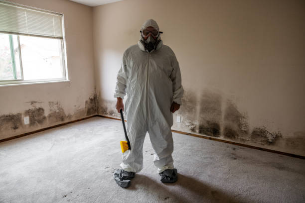Best Emergency Mold Removal  in Olivet, MI